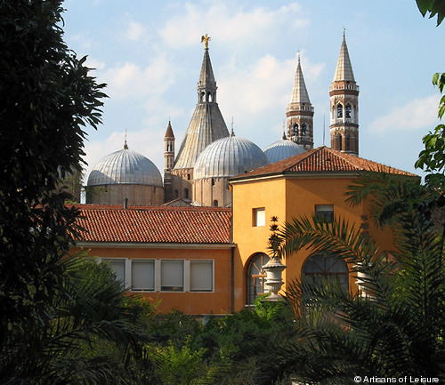 69-Padua botanical garden.jpg